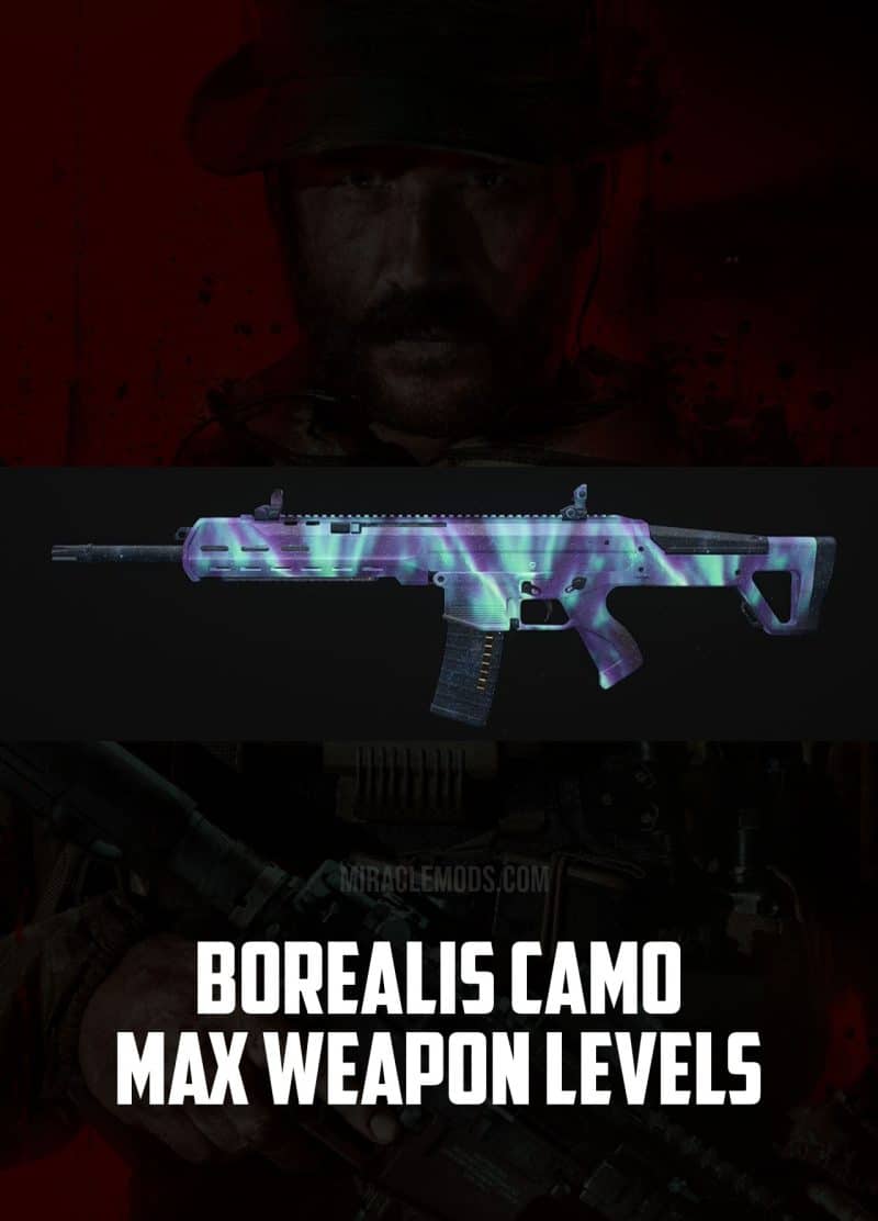 CoD MW3 Borealis Camo Boost + Max Weapon Levels