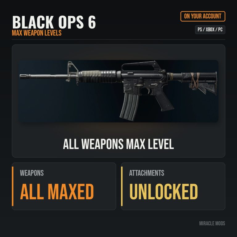 Black Ops 6 All Weapons Max Level