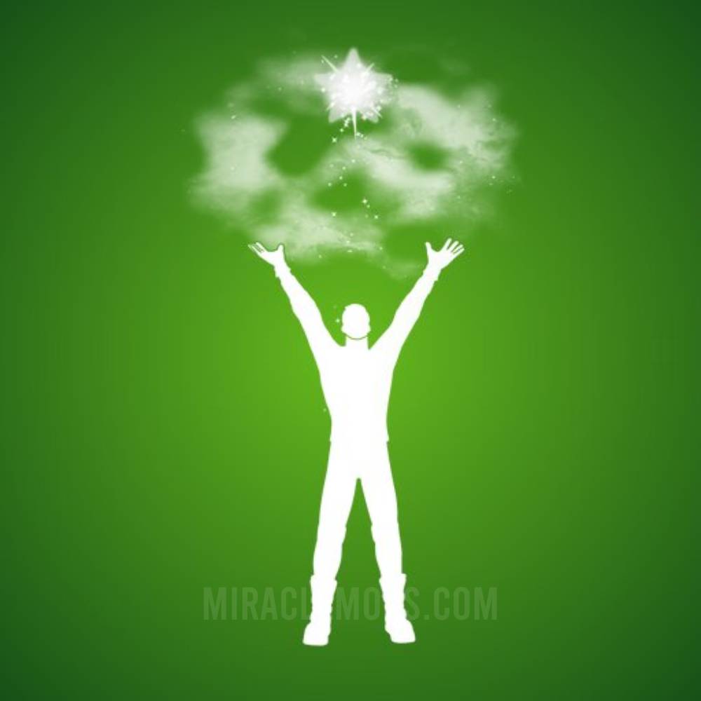 Fortnite Wishing Star Emote