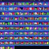 Brawl Stars account Brawl Stars account