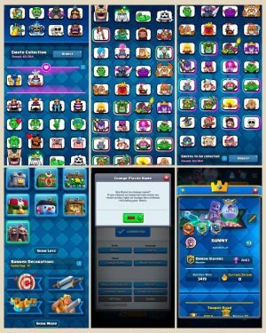 Clash Royale account King Tower 14 Clash Royale Account | 9,000 Trophies | 120 Cards, 9 Evos | iOS/Android