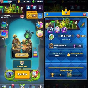 King Tower 16 Clash Royale Account | 14,000 Trophies | 32 Evos | iOS/Android
