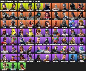 Fortnite account 73-Skin Fortnite Account | The Reaper, Take The L, Havoc, Elite Agent | PC/Xbox