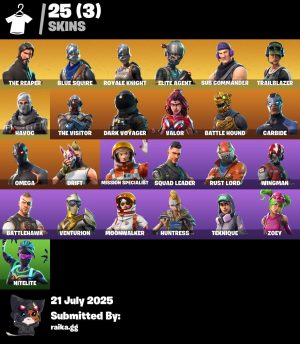 Fortnite account 25-Skin Fortnite Account | Blue Squire, Royale Knight, The Reaper, Take The L | PC/PSN/Xbox