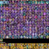 Fortnite account 273-Skin Fortnite Account | Black Knight, Sparkle Specialist, Blue Squire, Royale Knight | PC/PSN/Xbox/Switch/Mobile