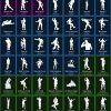 43-Skin Fortnite Account | Blue Squire, Royale Knight, The Reaper, Elite Agent | PC/PSN